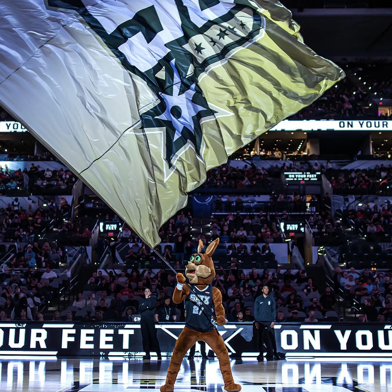 案例分析 案例分析